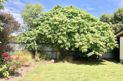 Photo of property in 34 Seadown Crescent, Amberley, 7410