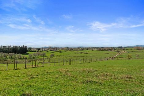 Photo of property in 3983 Ohaupo Road, Ohaupo, 3881