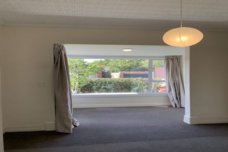 Photo of property in 14 Windsor Street, Opoho, Dunedin, 9010