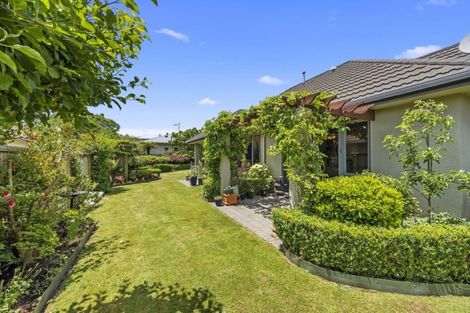 Photo of property in 51 Insoll Avenue, Enderley, Hamilton, 3214