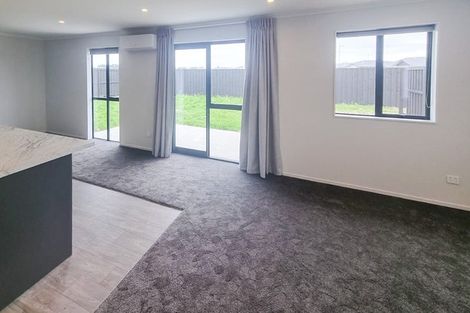 Photo of property in 38 Jean Batten Lane, Rolleston, 7615