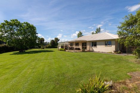Photo of property in 271 Mount Stewart Halcombe Road, Sanson, Palmerston North, 4479