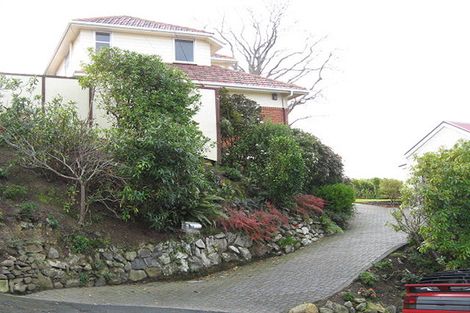 Photo of property in 21 Leven Street, Roslyn, Dunedin, 9010