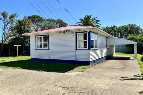 Photo of property in 20 Mckenzie Street, Levin, 5510
