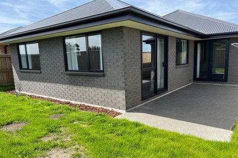 Photo of property in 29 Mills Road, Marshland, Christchurch, 8051
