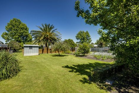 Photo of property in 222a Grove Road, Mayfair, Hastings, 4122