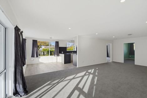 Photo of property in 19 Taumutu Road, Southbridge, 7602