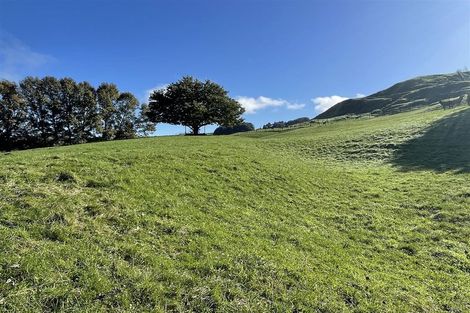 Photo of property in 80a Mangaotaki Road, Piopio, 3971