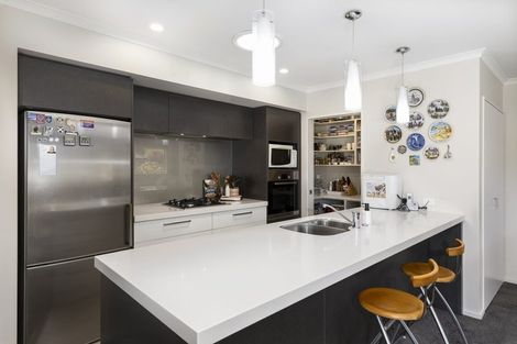 Photo of property in 223 Taylor Pass Road, Witherlea, Blenheim, 7201