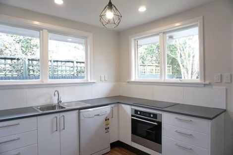 Photo of property in 25 Nursery Road, Phillipstown, Christchurch, 8011