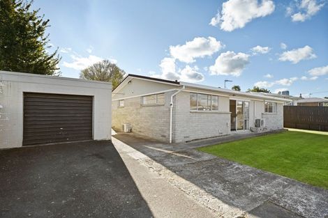 Photo of property in 53 Urlich Avenue, Melville, Hamilton, 3206