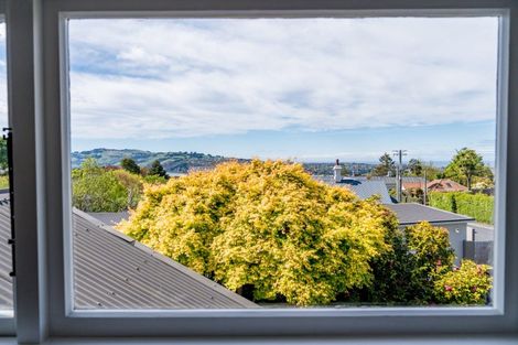 Photo of property in 25 Pacific Street, Roslyn, Dunedin, 9010