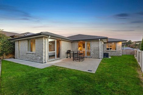 Photo of property in 9 Puhirake Crescent, Pyes Pa, Tauranga, 3112