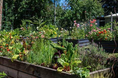 Photo of property in 202 Ngamotu Road, Rerewhakaaitu, Rotorua, 3073