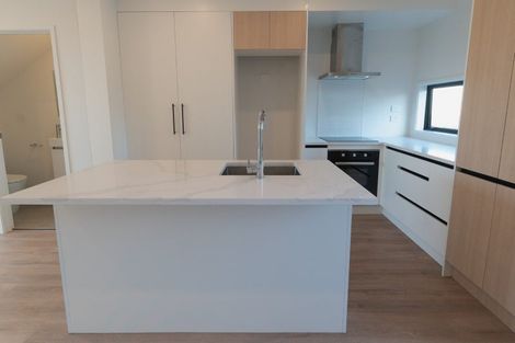 Photo of property in 20 Clay Works Lane, New Lynn, 0600