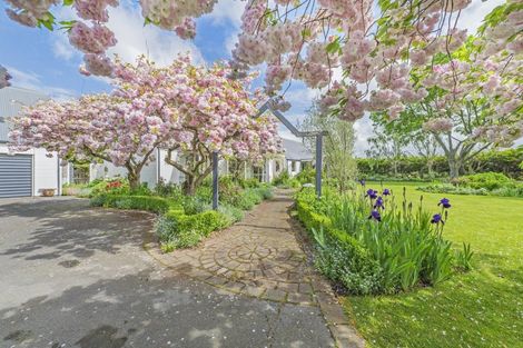 Photo of property in 11 Mountain View Place, Leeston, 7632