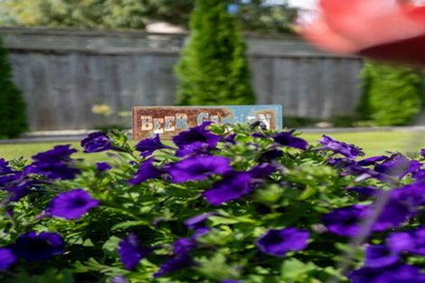 Photo of property in 17 Henry Bell Close, Leamington, Cambridge, 3432