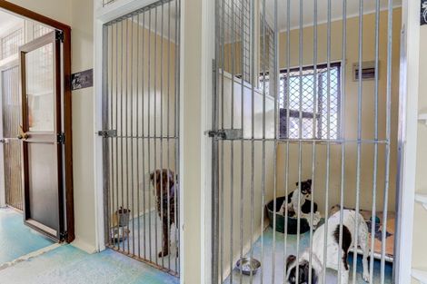 Photo of property in 207 Roberts Avenue, Aramoho, Whanganui, 4584