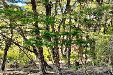 Photo of property in 132 Kokako Heights, Matata, 3194