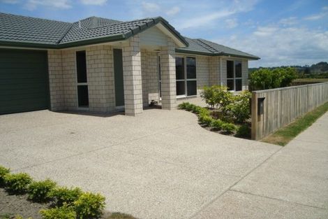 Photo of property in 15 North Bay Road, Pyes Pa, Tauranga, 3112