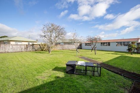 Photo of property in 6 Hale Place, Ngatea, 3503