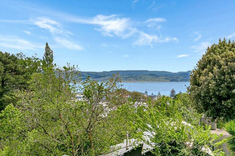 Photo of property in 29 Burns Road, Hospital Hill, Napier, 4110