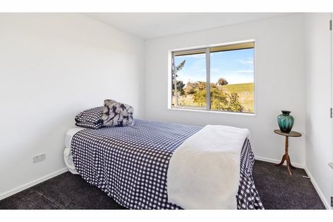 Photo of property in 131 Driscoll Road, Levels Valley, Timaru, 7974