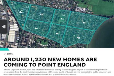 Photo of property in 35 Torino Street, Point England, Auckland, 1072