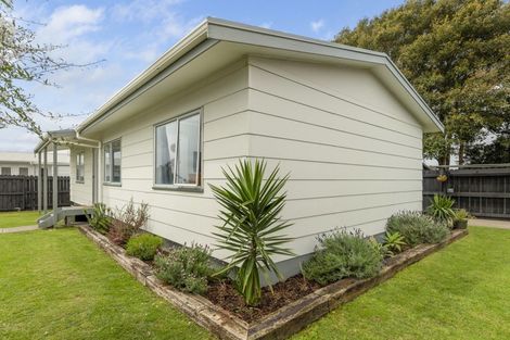 Photo of property in 109b Eversham Road, Mount Maunganui, 3116