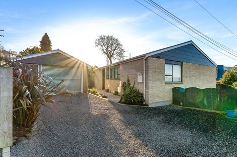 Photo of property in 162 Brockville Road, Brockville, Dunedin, 9011