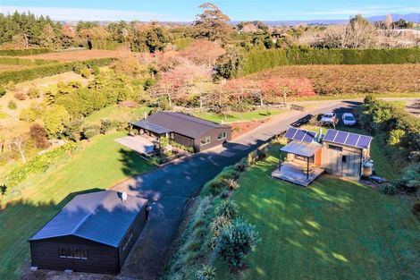 Photo of property in 178 Plummers Point Road, Whakamarama, Tauranga, 3172