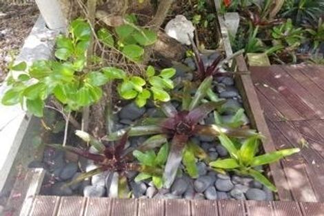 Photo of property in 8a Zealandia Road, Manly, Whangaparaoa, 0930