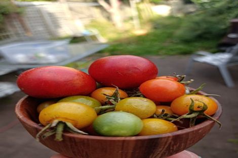 Photo of property in 244 Adelaide Road, Newtown, Wellington, 6021