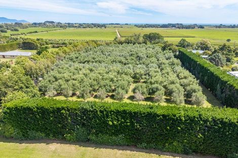 Photo of property in 134 Te Waka Road, Te Horo, Otaki, 5581