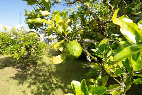 Photo of property in 109 George Street, Hikurangi, 0114