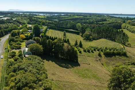Photo of property in 40 Ongare Point Road, Tahawai, Katikati, 3170