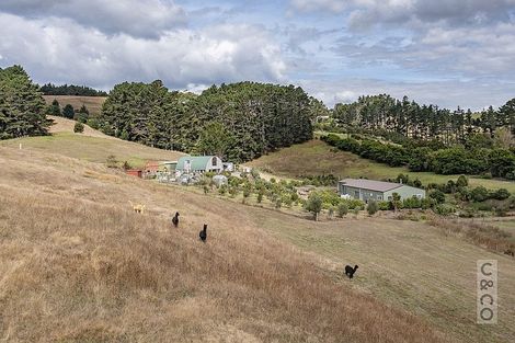 Photo of property in 231 Taiapa Road, Muriwai, Waimauku, 0881