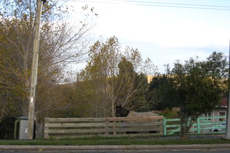 Photo of property in 72 Ronaldsay Street, Palmerston, 9430