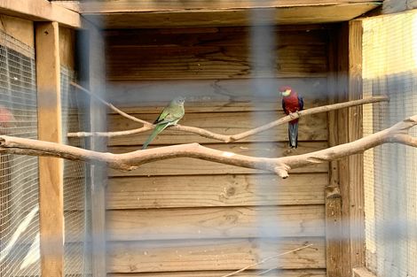 Photo of property in 210 Coulter Road, Te Awamutu, 3879