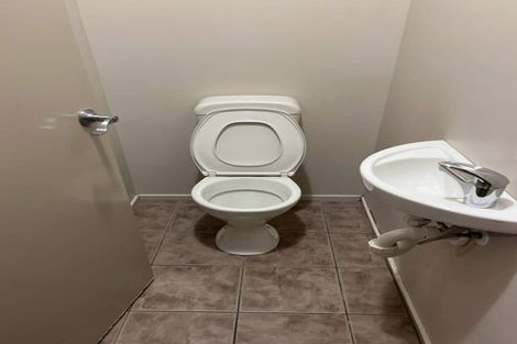 Photo of property in 373 College Street, Hokowhitu, Palmerston North, 4410