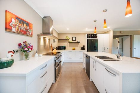 Photo of property in 54 Henaghans Road, Kelvin Grove, Palmerston North, 4470