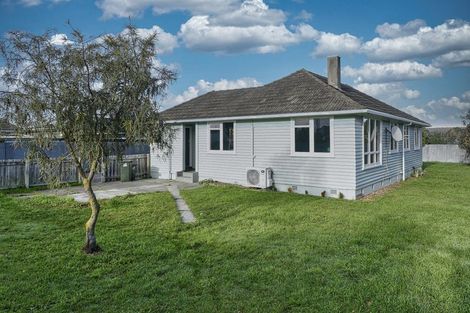 Photo of property in 15 Willow Street, Hampstead, Ashburton, 7700