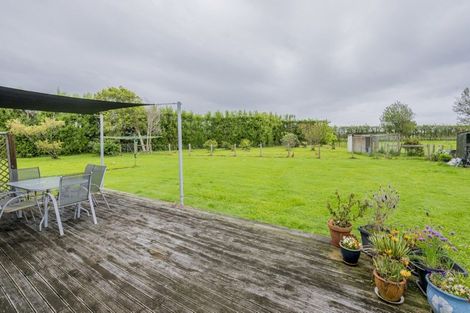 Photo of property in 71 Whelans Road, Levin, 5571