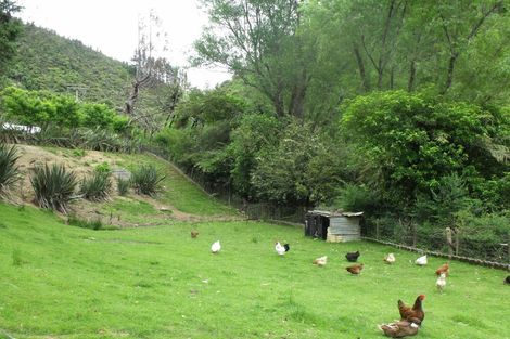 Photo of property in 102 Pakihi Road, Toatoa, Opotiki, 3197