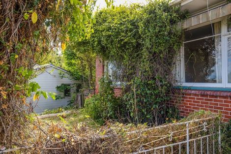 Photo of property in 3 Montgomery Terrace, Hillsborough, Christchurch, 8022