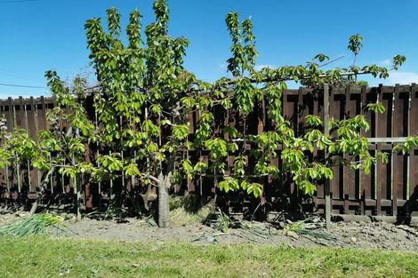 Photo of property in 43 Farrington Avenue, Bishopdale, Christchurch, 8053