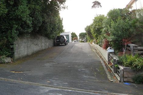 Photo of property in 19 Leven Street, Roslyn, Dunedin, 9010