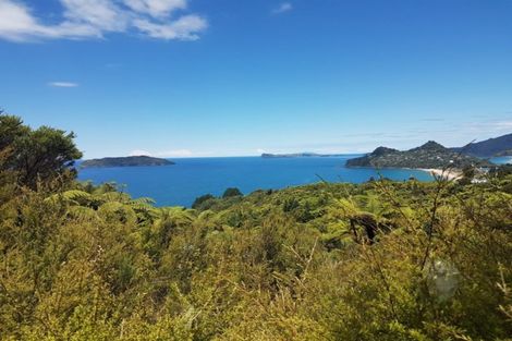 Photo of property in 135 Pumpkin Hill Road, Pumpkin Hill, Whitianga, 3591
