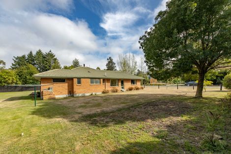 Photo of property in 209 Whitecliffs Road, Whitecliffs, Coalgate, 7673