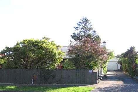 Photo of property in 48 Miro Street, Takaro, Palmerston North, 4410